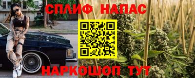 крисы Ливны