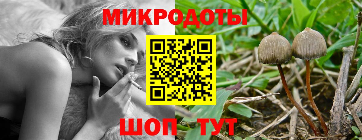 Галлюциногенные грибы Psilocybine cubensis Шарыпово