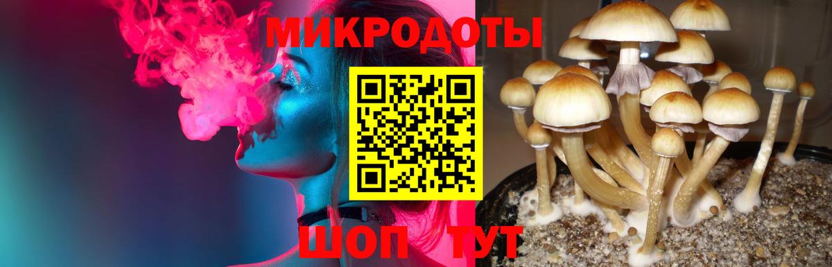 Галлюциногенные грибы прущие грибы  Вход с VPN  Шарыпово 
